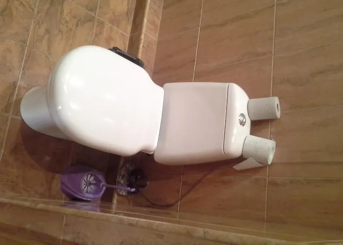 Barkar Arcadia * Odesa